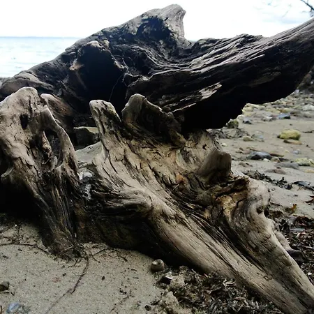 Luxury Retreat In Hejlsminde - By Traum