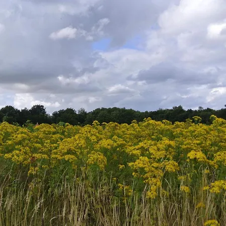 בית נופש Luxury Retreat In Hejlsminde - By Traum Hejls